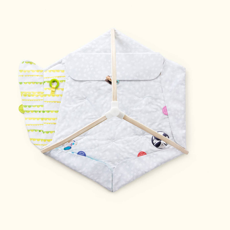 The Play Gym by Lovevery: baby play mat with 5 zones